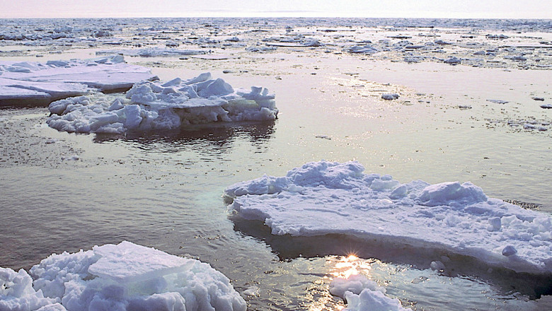 Întinderile de gheaţă din Marea Bering au ajuns la cel mai redus nivel din ultimii 5.500 de ani