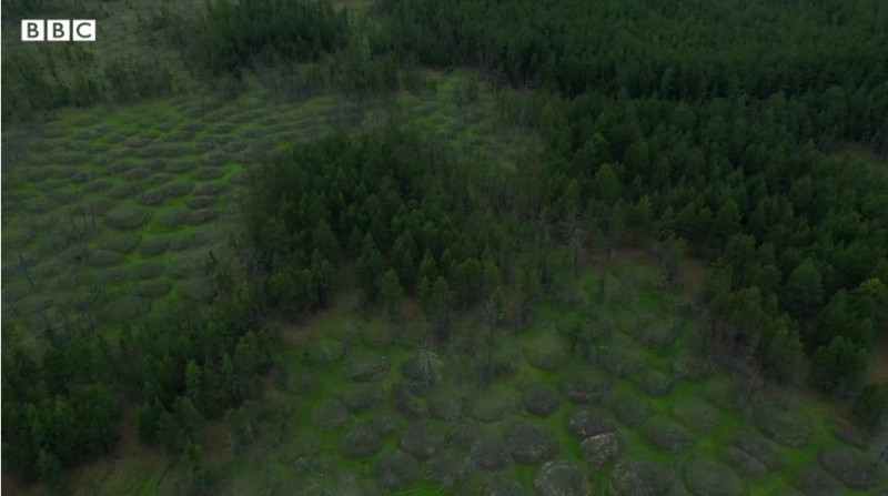 cocoase aparute in solul din siberia din cauza topirii permafrostului- bbc