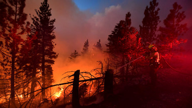 pompierii lucrează la stingerea unui incendiu în pădure