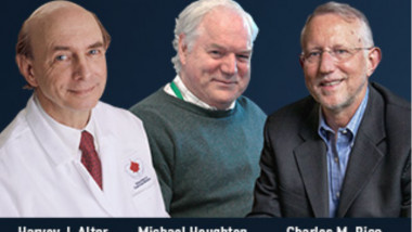 Cercetătorii Harvey J. Alter, Michael Houghton şi Charles M. Rice au primit premiului Nobel pentru medicină pe anul 2020. Foto: www.nobelprizemedicine.org