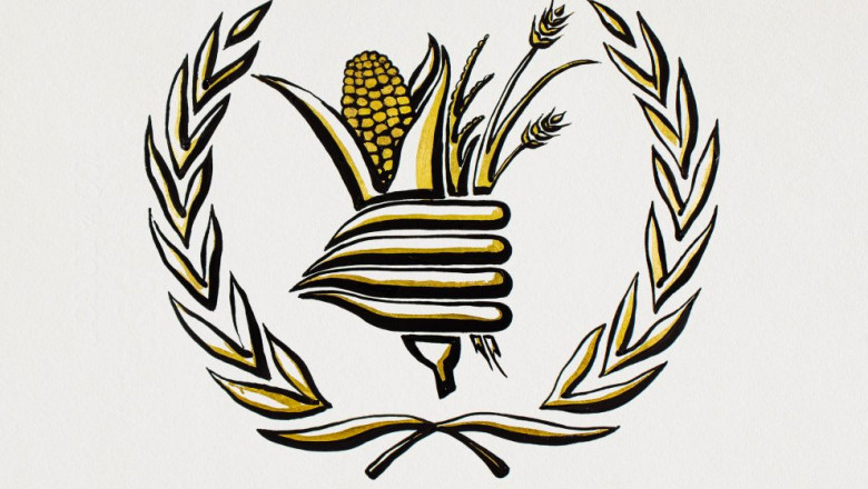 Programul alimentar Global al ONU a câștigat premiul Nobel pentru Pace din 2020, a anunțat Comitetul Nobel.