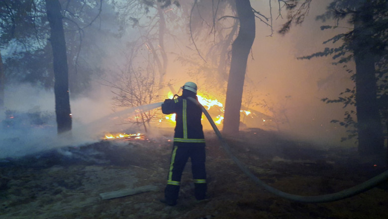 Incendii de pădure în regiunea Lugansk din Ucraina, în apropierea zonei controlate de separatiștii proruși