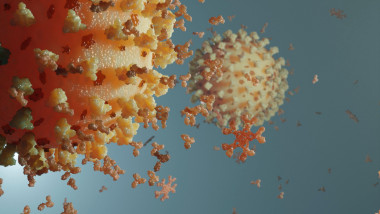 anticorpi imunitate coronavirus