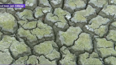 Lacul Iezer din județul Călărași a secat în numai trei luni