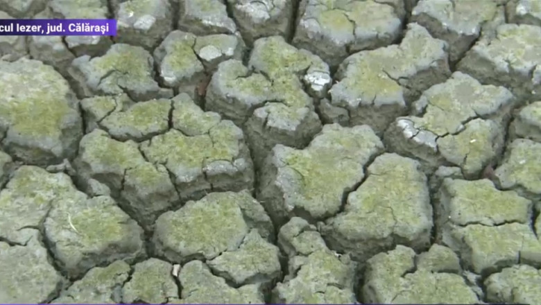 Lacul Iezer din județul Călărași a secat în numai trei luni