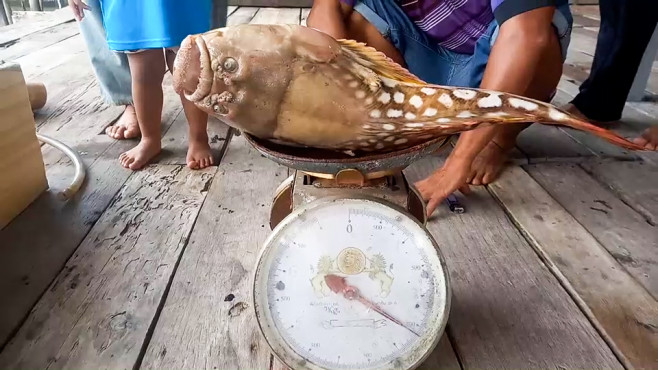 Fish with human-like eyes and mouth has devastated facial expression after being caught in Thailand