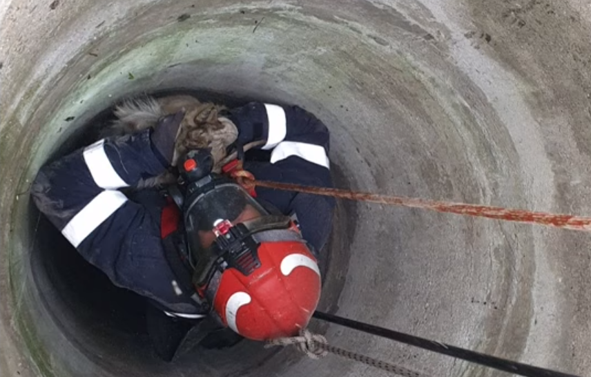 O capră căzută într-o fântână adâncă de 20 de metri a fost salvată de un pompier