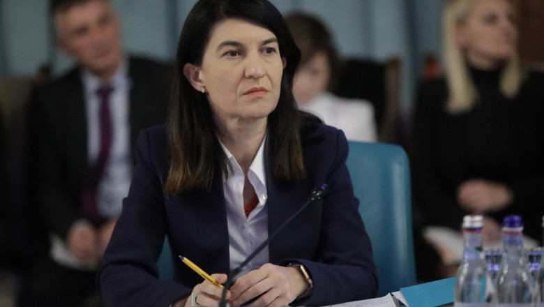 Ministrul Muncii Violeta Alexandru la sedinta de guvern