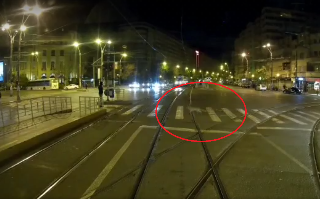 Vulpe filmată traversând pe „zebră” și pe culoarea verde a semaforului, în Capitală
