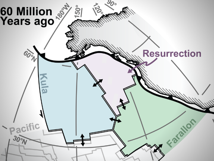 O placă tectonică demult "pierdută", la originea unui lanţ de vulcani din Pacific de acum 60 de milioane de ani