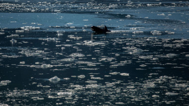 Fenomen fără precedent. Căldura-record din Siberia întârzie forrmarea gheții în zona arctică