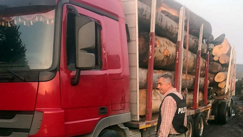 camion cu lemne furate oprit in trafic la vladesti