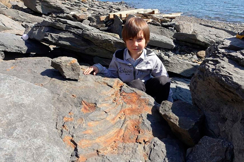 Three young children playing on shore find remains of 245-million-year-old marine monster from dinosaur age