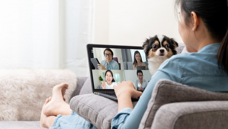 Banner of Asian woman on sofa and team on laptop screen talking and discussion in video conference and dog interruption.Working from home, Working remotely, Pets interruption and Self-isolation.