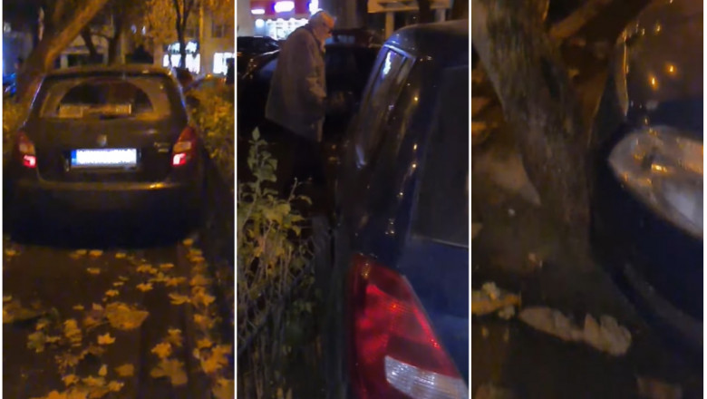 Un șofer din București a vrut cu insistență să treacă peste un copac, pe o alee îngustă.