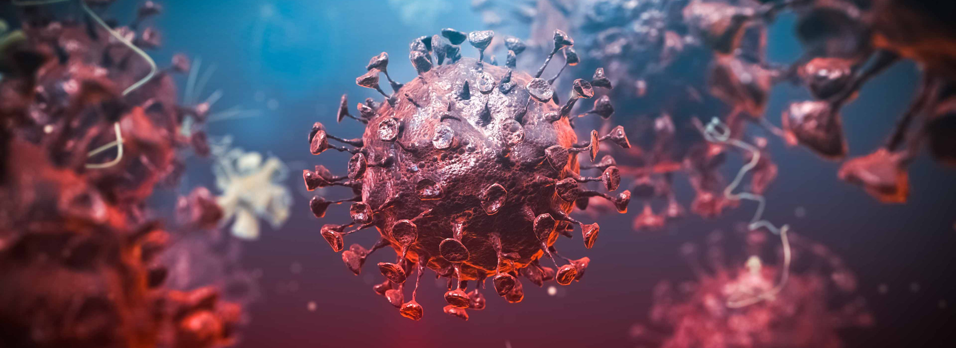 coronavirus covid-19