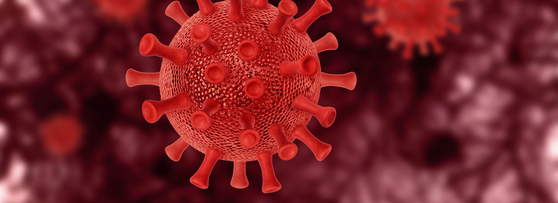 coronavirus covid 19 celule