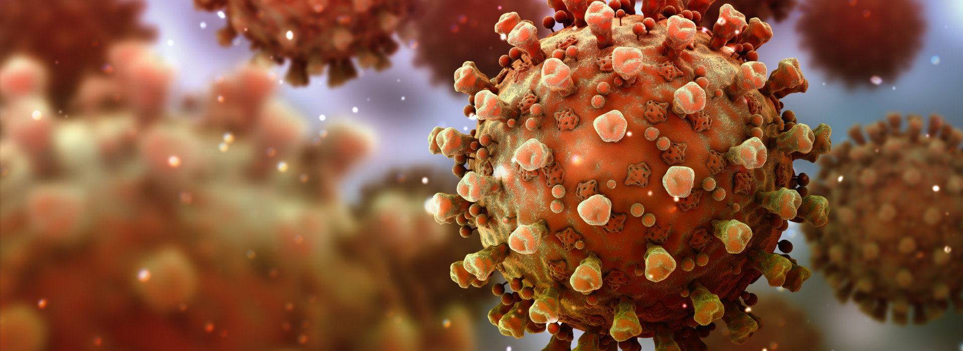 Virus coronavirus Covid-19