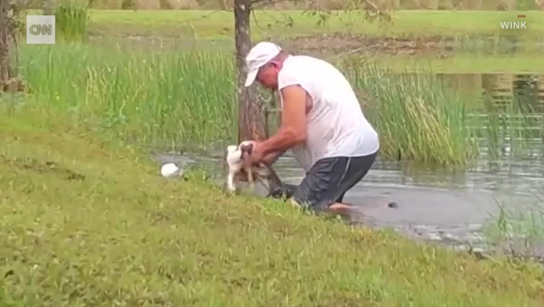 Un bărbat sare în apă ca să-și salveze câinele atacat de un aligator