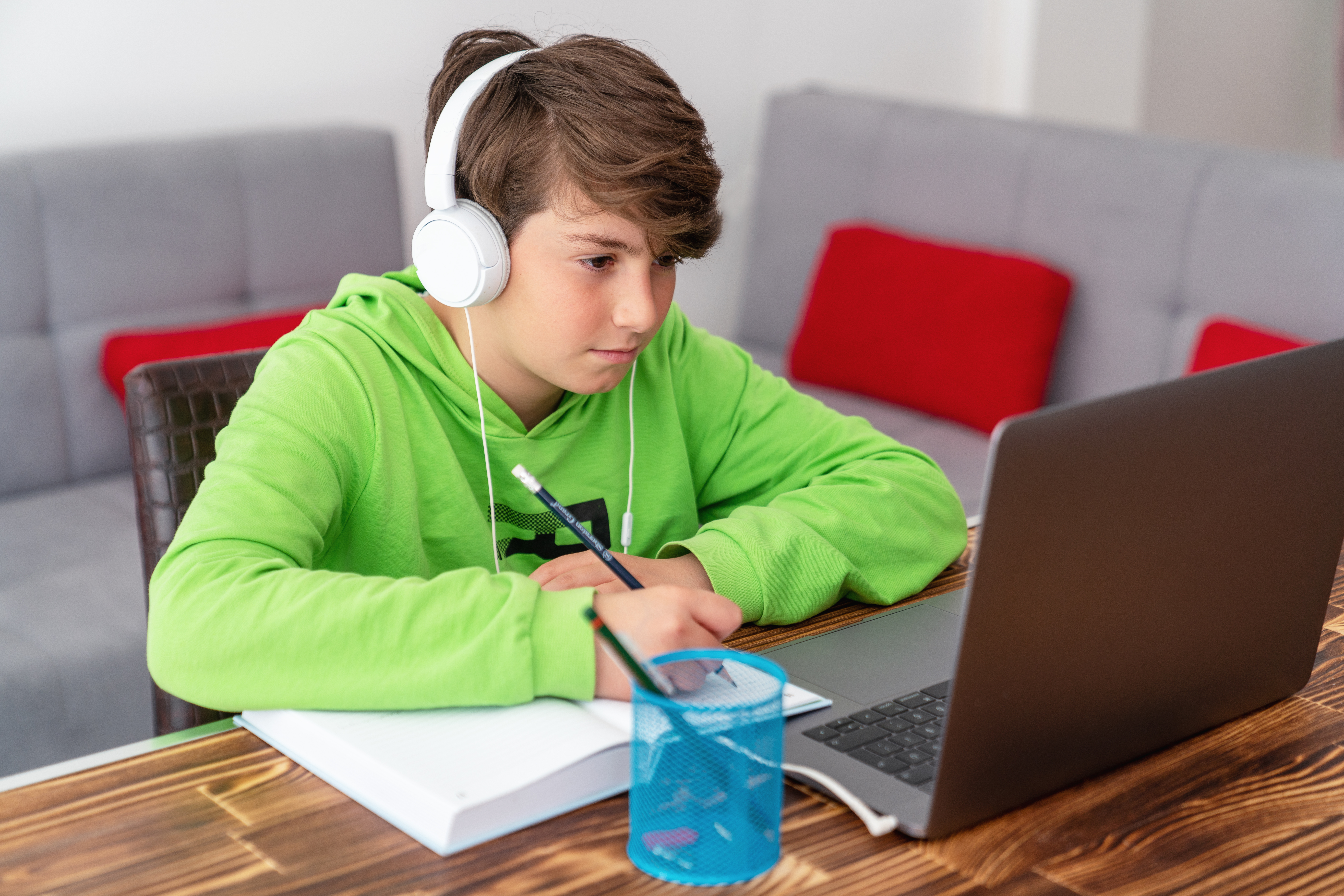 HOTĂRÂRE CNSU. Școala online se prelungește până la vacanța de iarnă