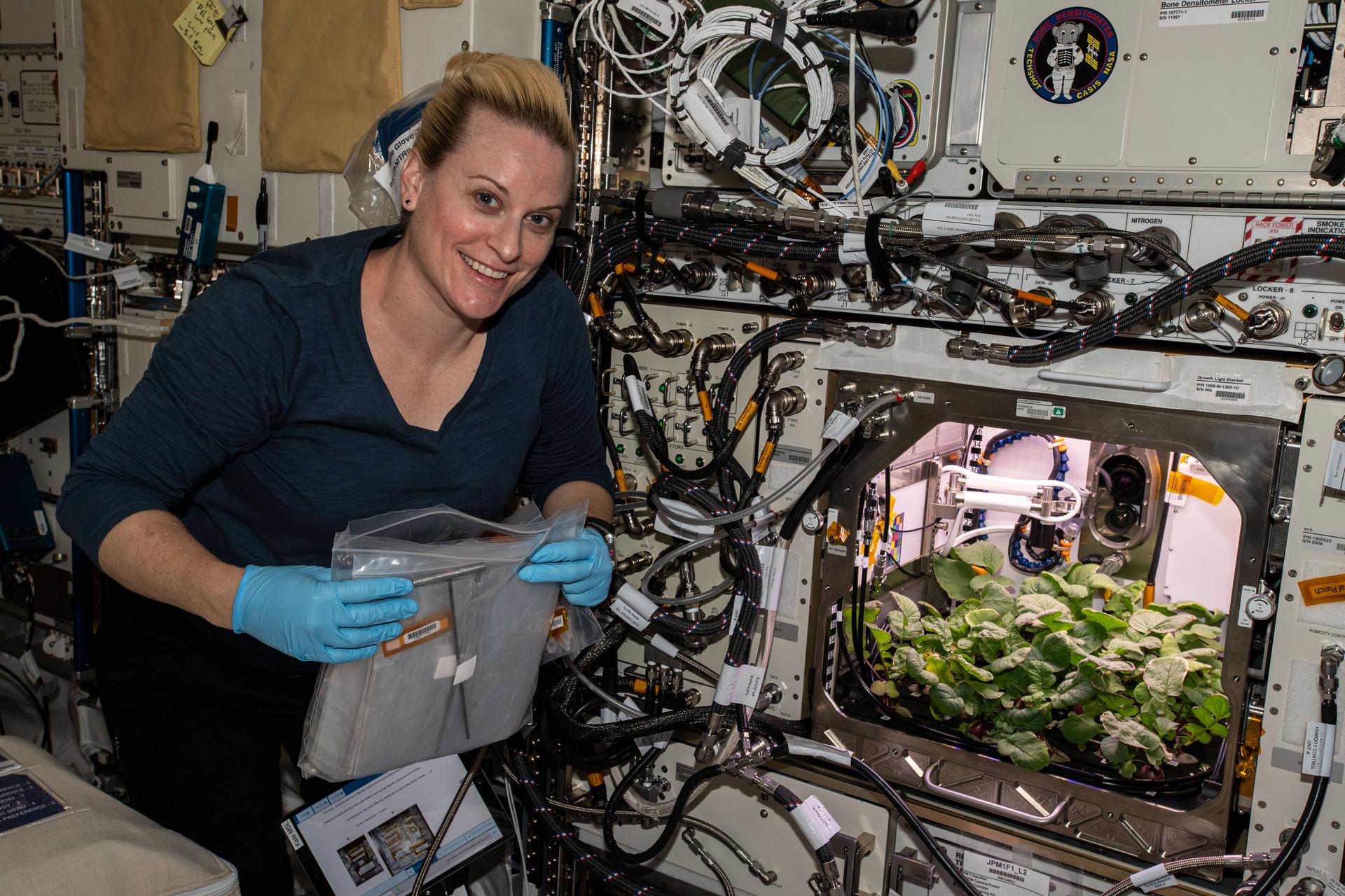 Un astronaut NASA a cultivat prima recoltă de ridichi din Spațiu