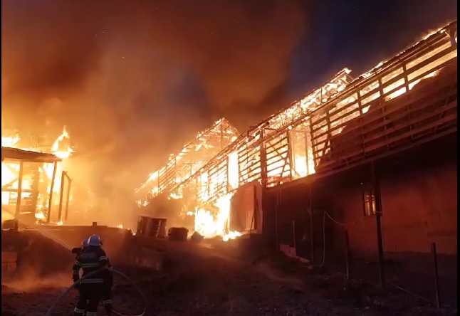 VIDEO. Zeci de porci și iepuri au murit într-un incendiu la o fermă din Argeș