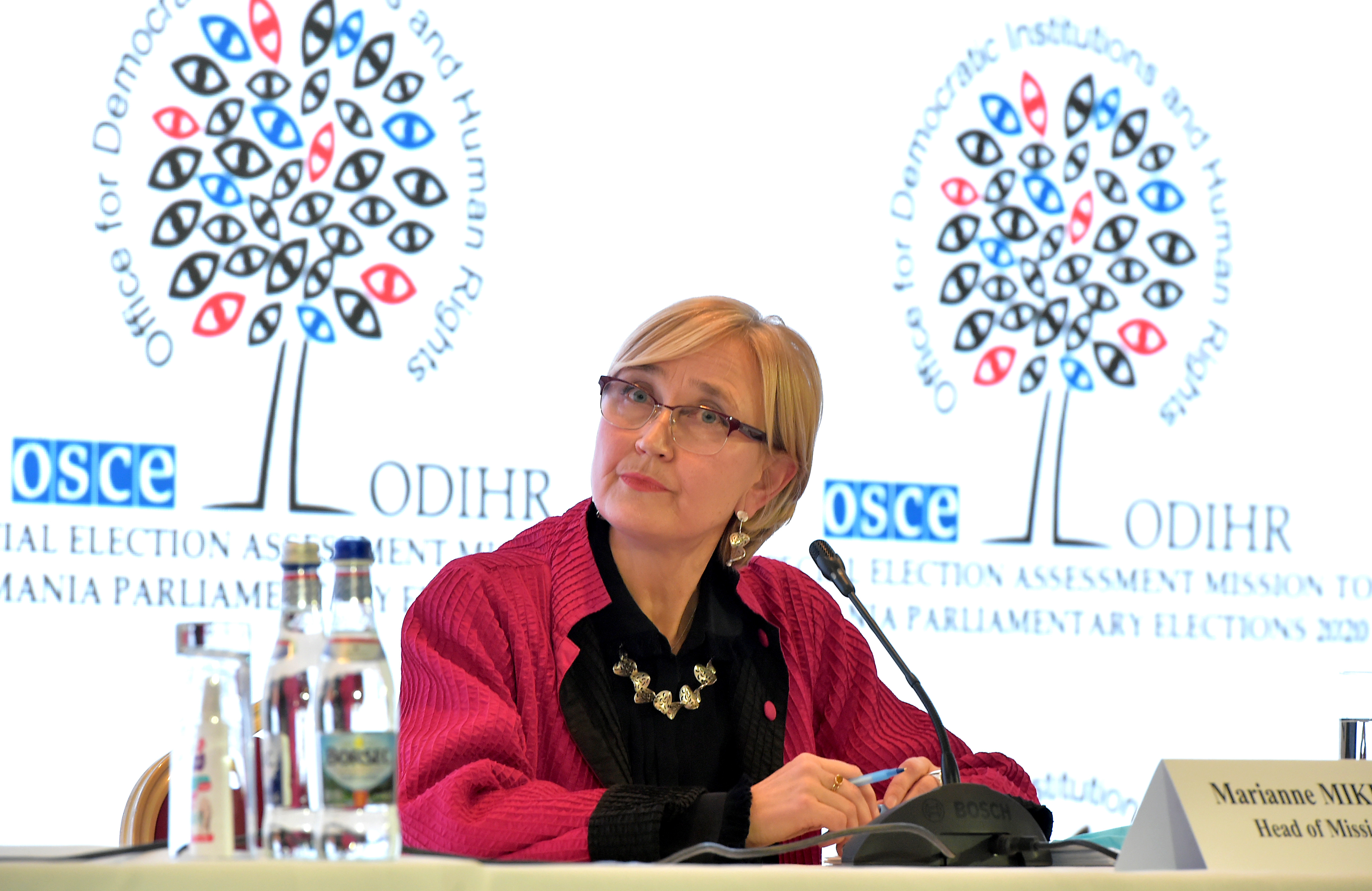 Reprezentanta OSCE, despre alegerile din România: Legislație modificată prea aproape de alegeri, prea puține femei-candidat