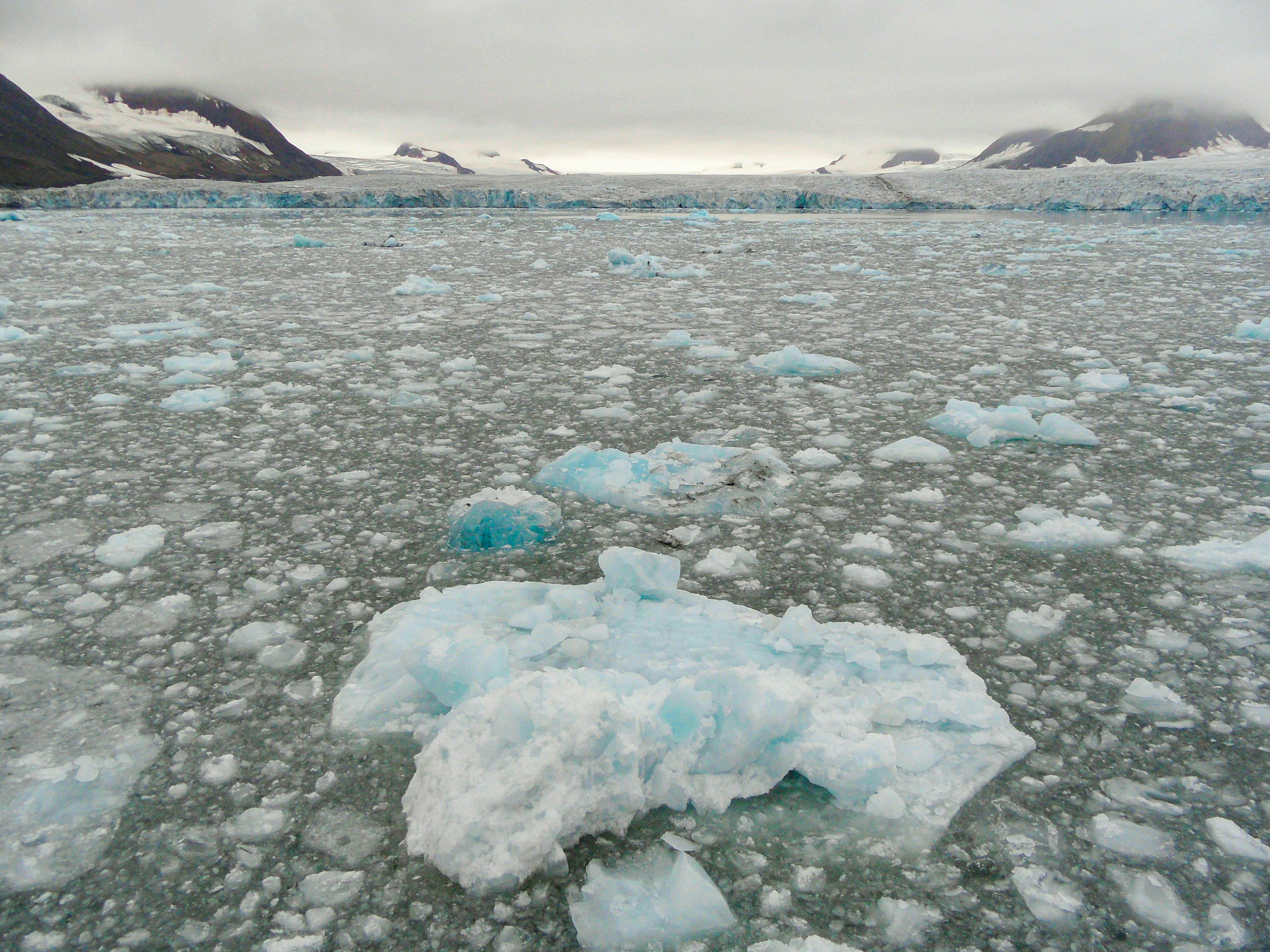Regiunea Arctică arată de nerecunoscut - mai verde, mai caldă și mai lipsită de gheață