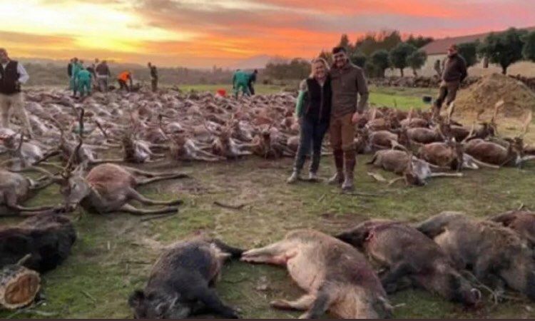 Indignare în Portugalia după ce spaniolii au ucis peste 500 de animale la o partidă de vânătoare pe teritoriul portughez