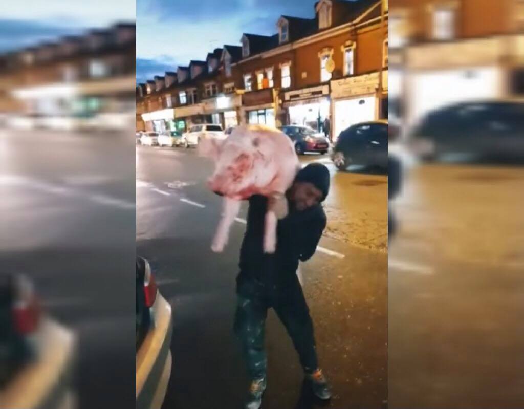 Imagini virale. Trei români au tăiat porcul și au defilat cu el pe străzile Londrei