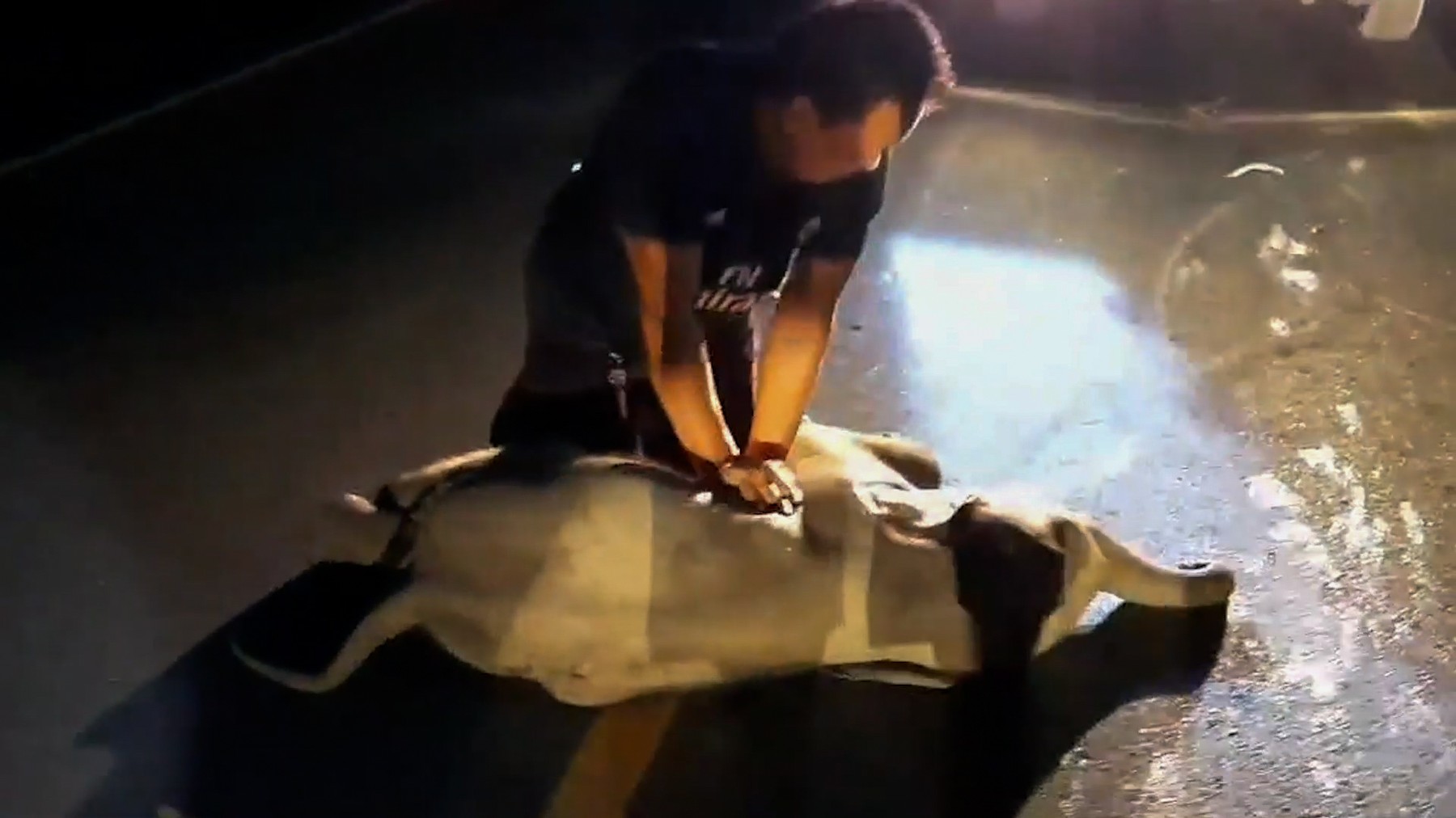 VIDEO | Pui de elefant lovit de motocicletă, readus la viață după manevre de resuscitare. Cine este salvatorul-erou