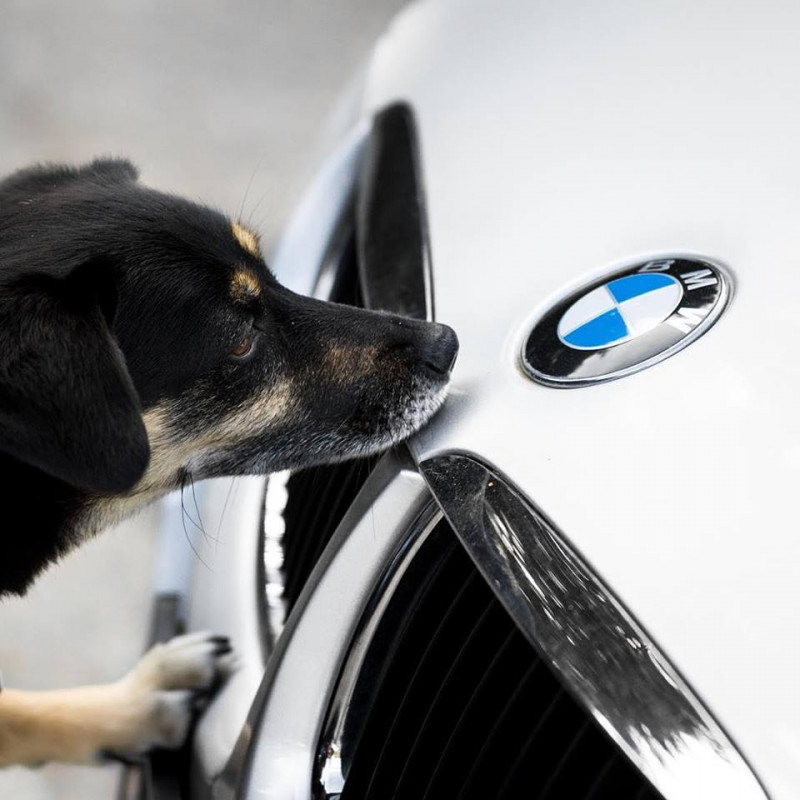 BMW romania