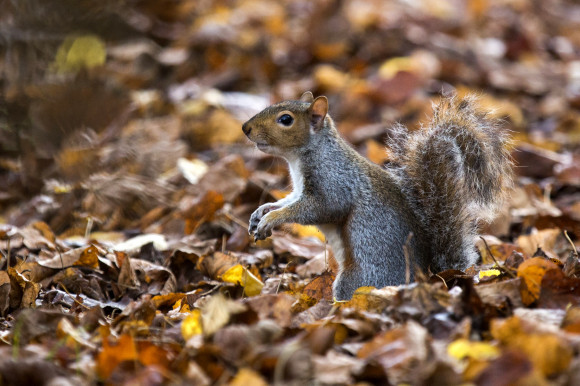 Halloween Set To Be The Warmest On Record