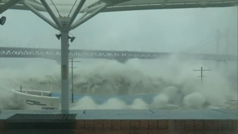 taifun coreea