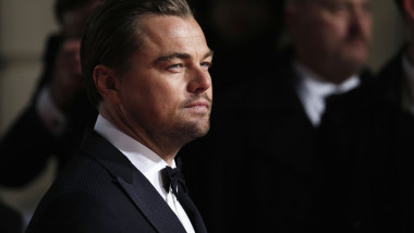 Foster parents irony placard Scandalul „Lupul de pe Wall Street”: Leonardo DiCaprio renunţă la două  proprietăţi pentru 13 milioane de dolari | Digi24
