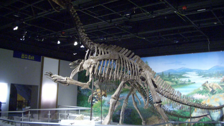 Iguanodon_skeleton