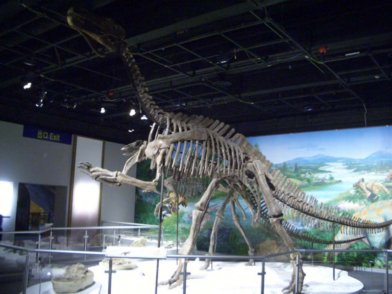 Iguanodon_skeleton