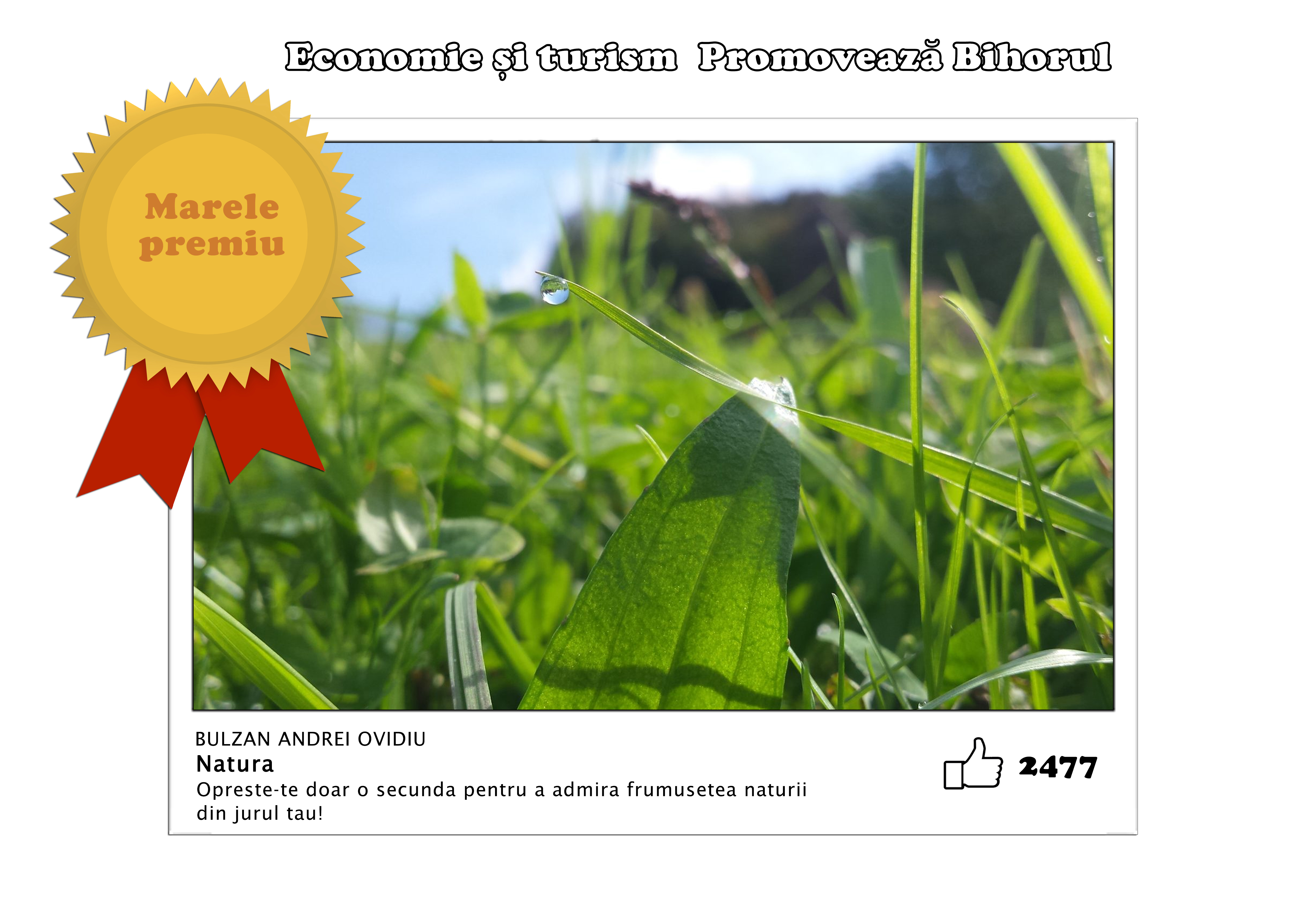 Marele premiu