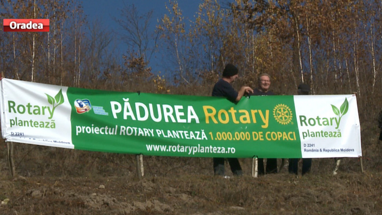 plantare Rotary