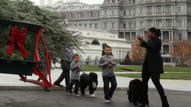 Michelle Obama Welcomes Official Christmas Tree To White House