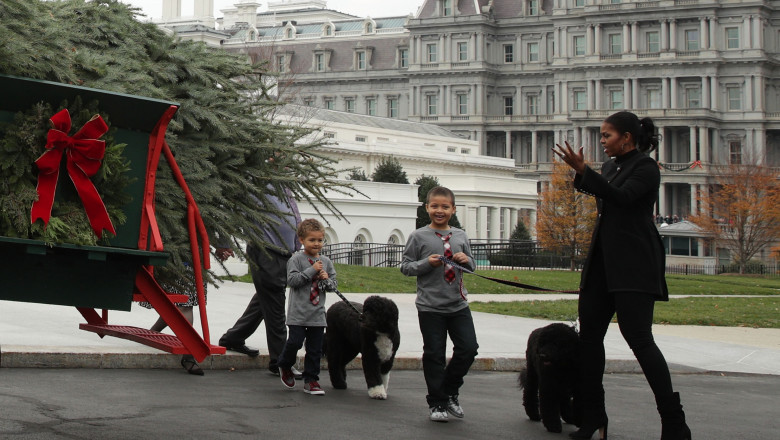 Michelle Obama Welcomes Official Christmas Tree To White House