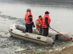 caprioara Paleu pompieri salvare (11)