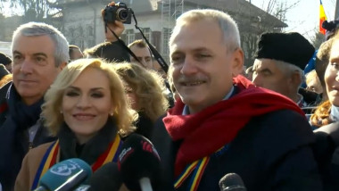 tariceanu firea dragnea