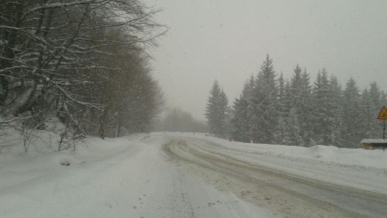 ninsoare Pasul Gutau Maramures 040117 (6)