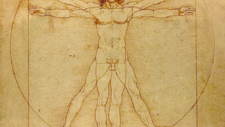 corpul uman imaginea clasica da vinci