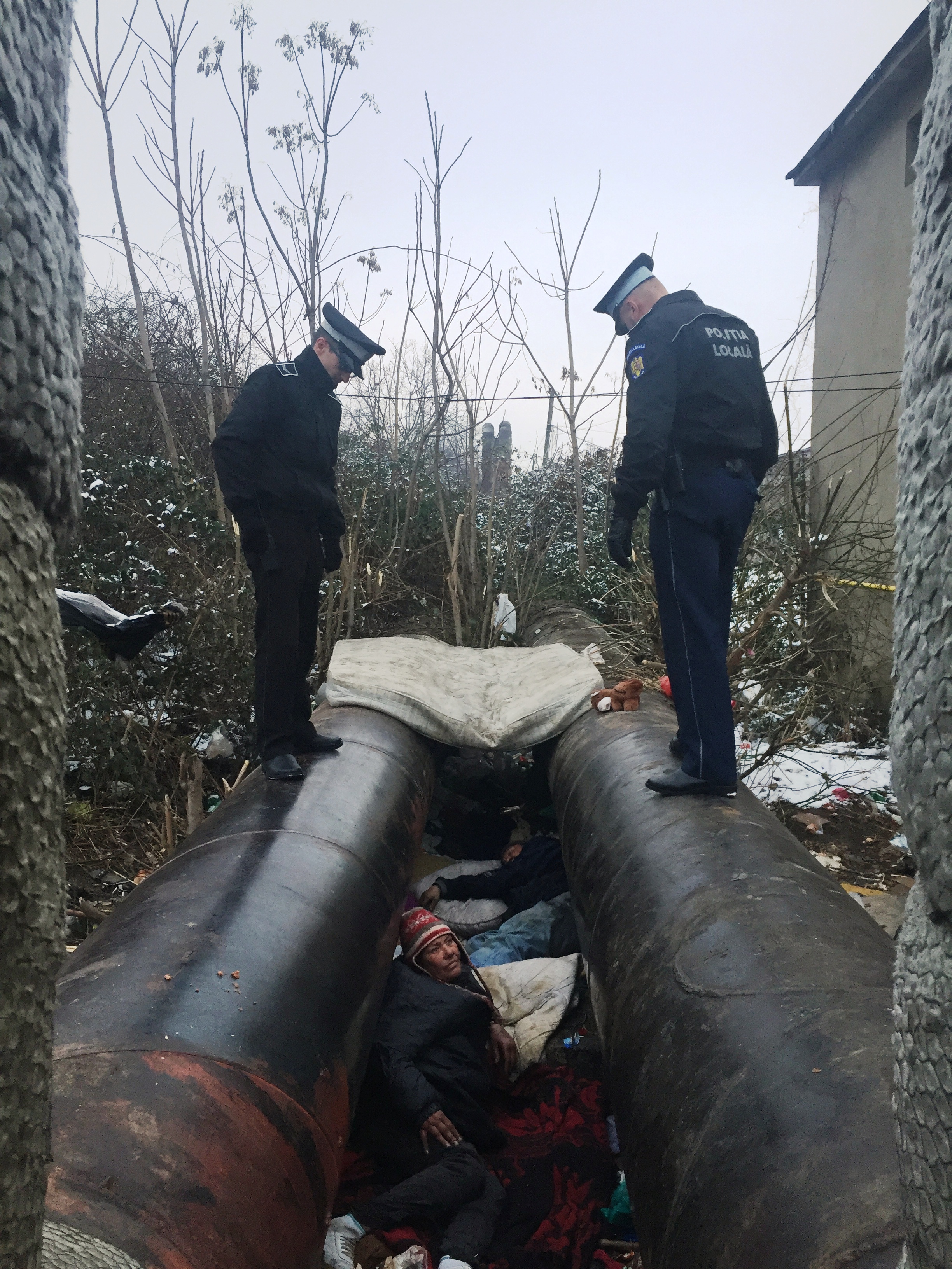 politia locala persoane fara adapost boschetari (2)