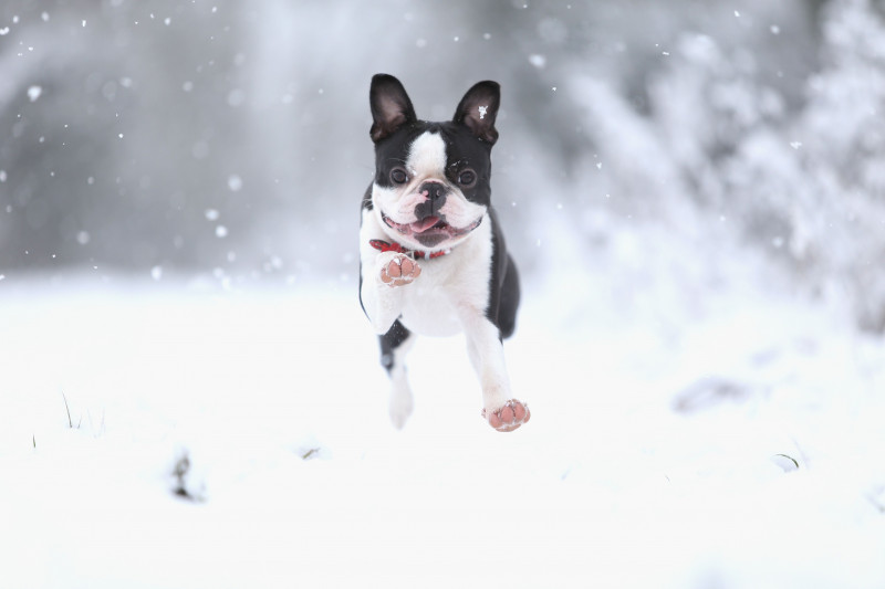 UK Hit By Heavy Snow Fall