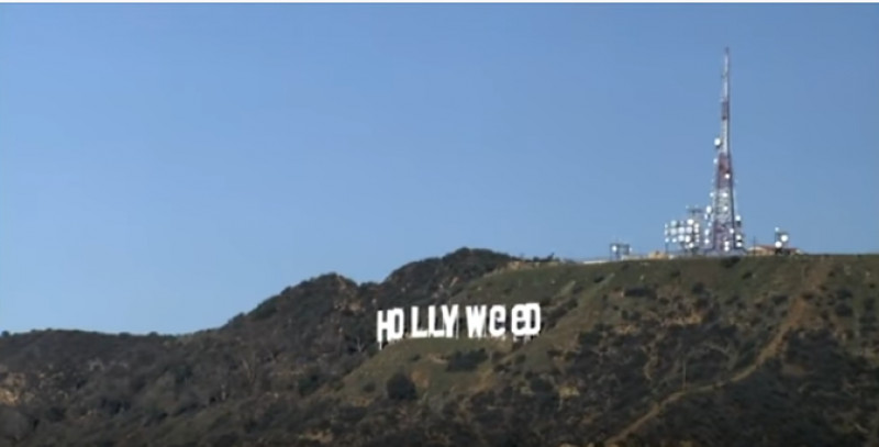 hollyweed captura youtube