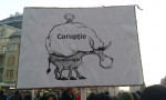 Pancarte protest Timisoara 4 290117