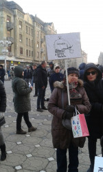 Pancarte protest Timisoara 5 290117